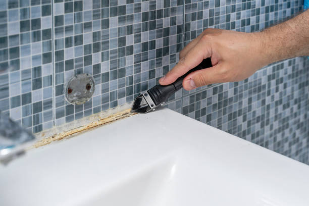 Best Post-Flood Mold Remediation in Herscher, IL